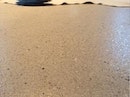 Suede Merino Base